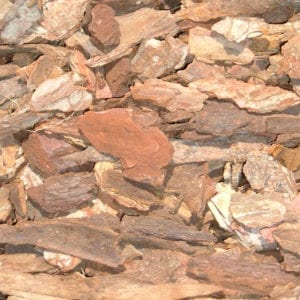 Bark