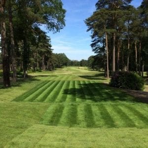 Fairway Dressing