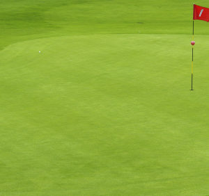 FENDRESS™ Top Dressing