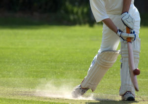 Cricket Wicket Loam